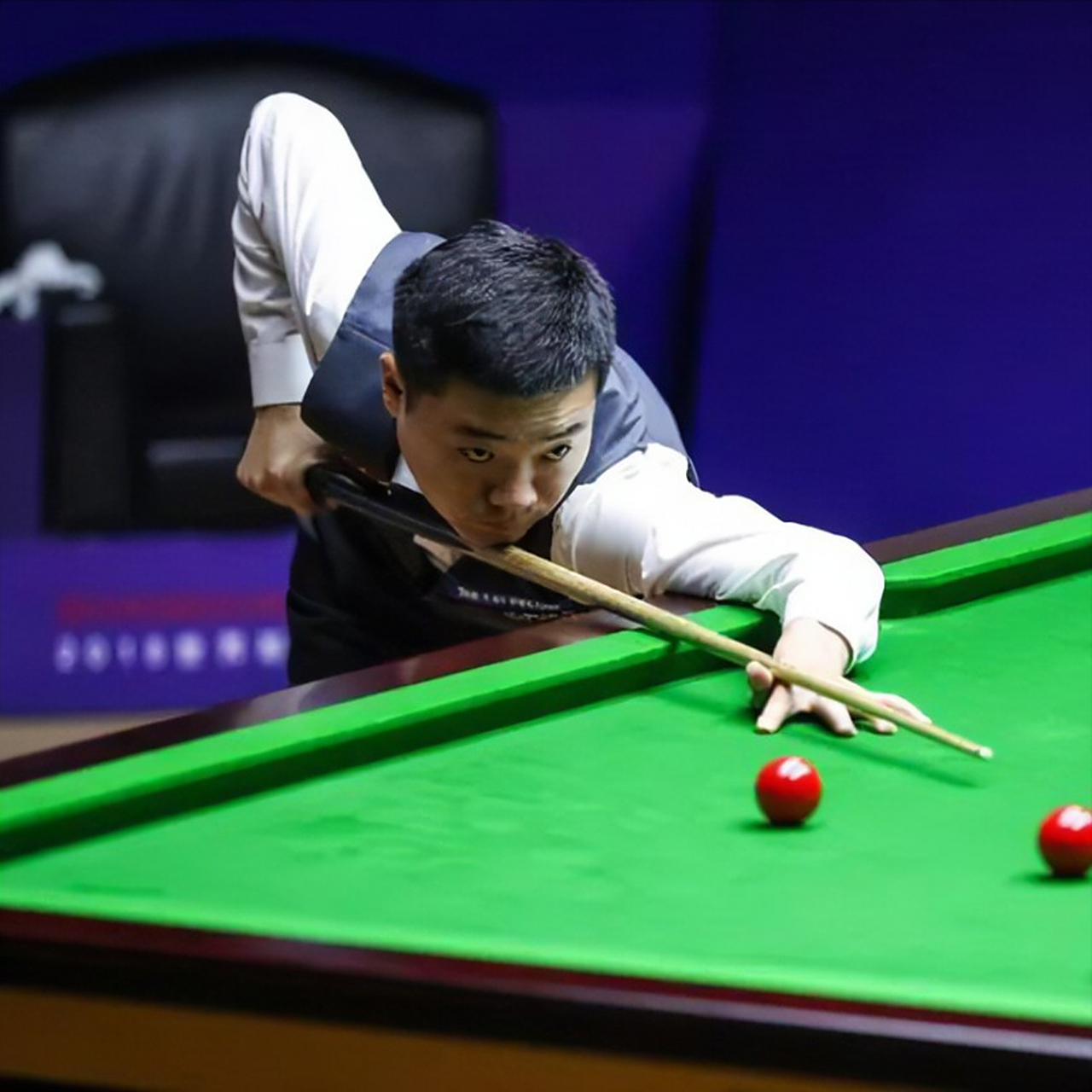 的游泳盛宴 的游泳盛宴