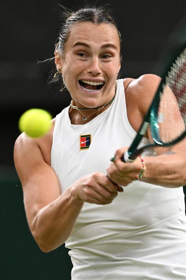 球迷的助威 球迷的助威