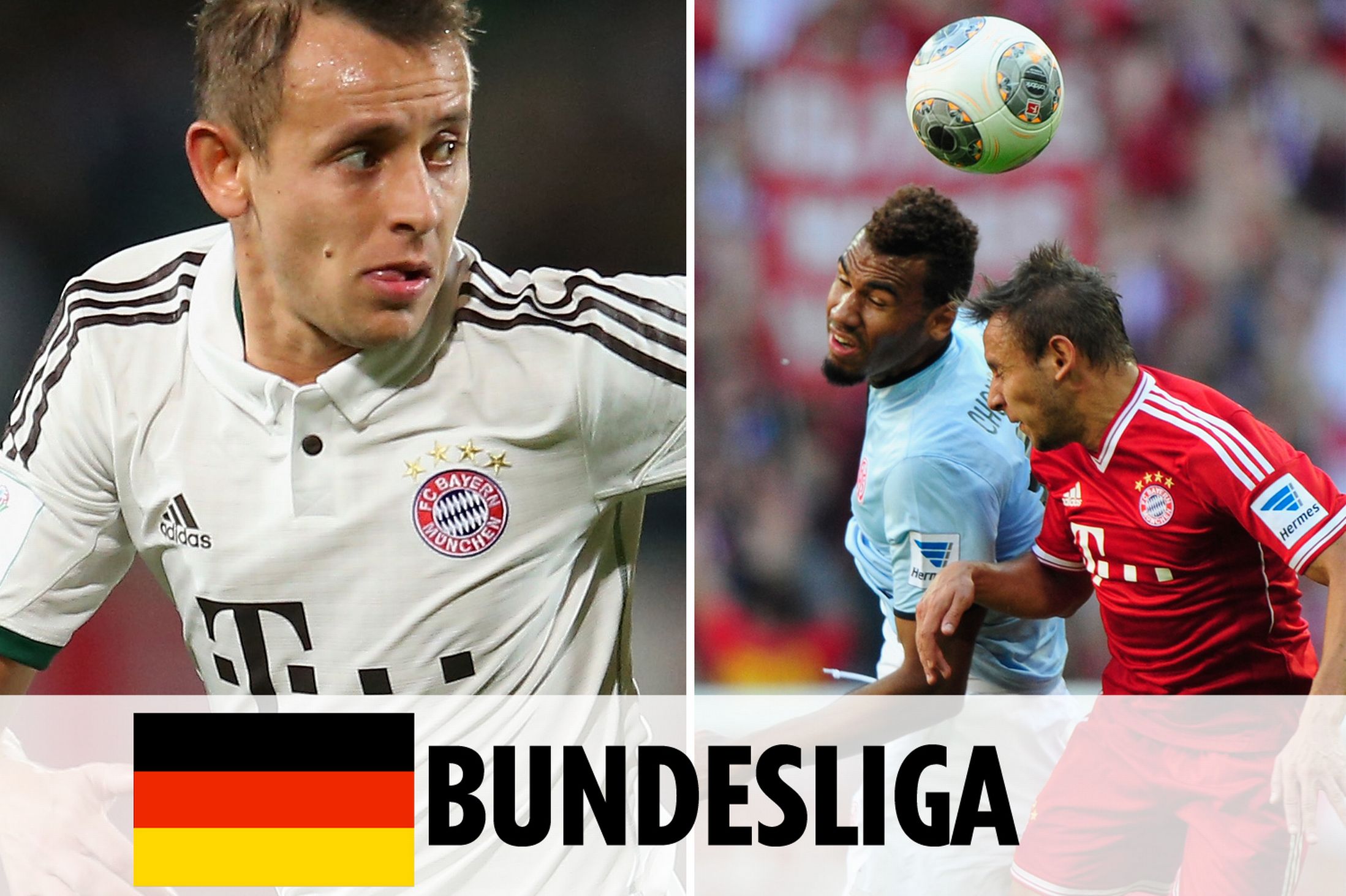 体对抗的双 体对抗的双